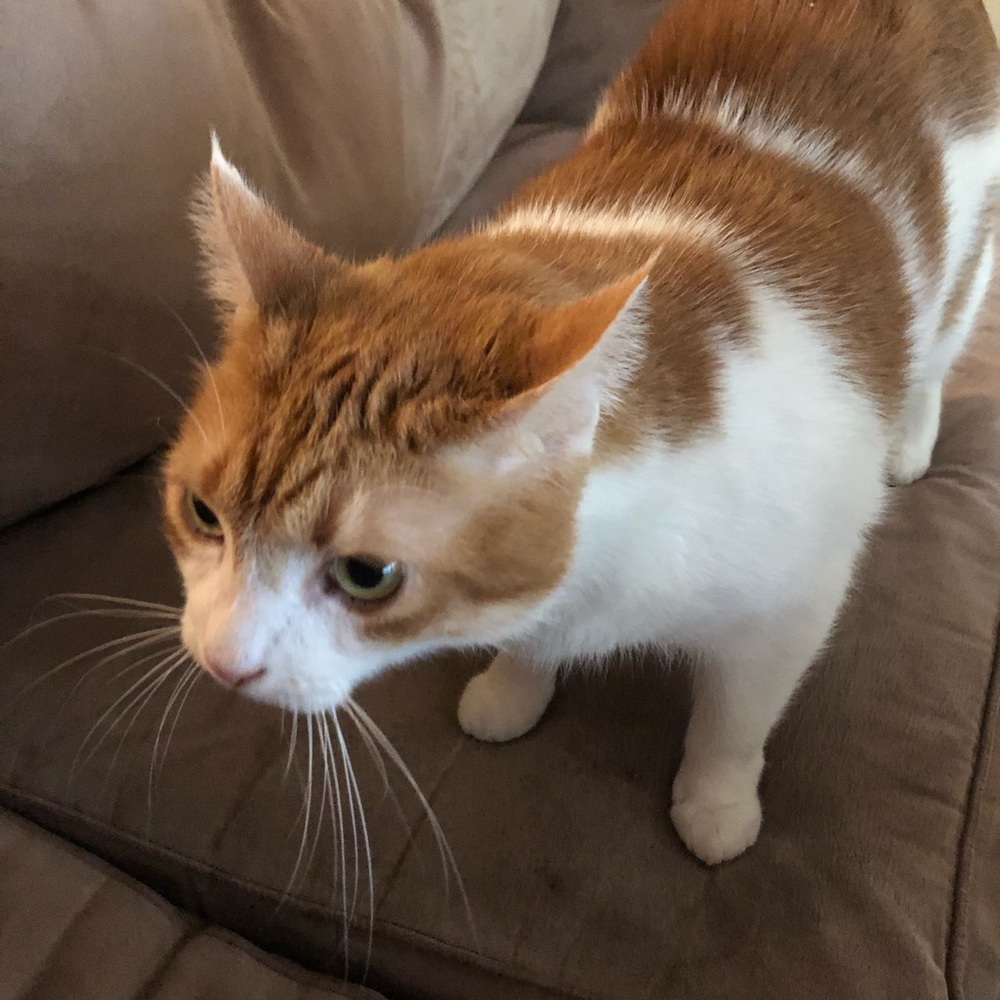 Meet your Posher, Christina